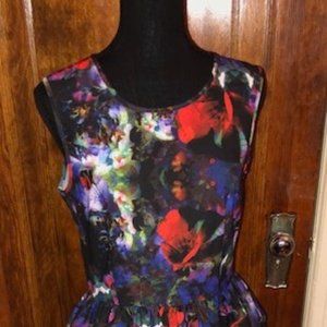 Floral Peplum Dress
